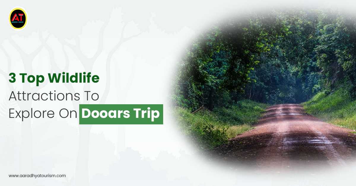 3 Top Wildlife Attractions To Explore On Dooars Trip