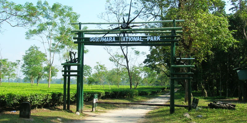 Gorumara National Park