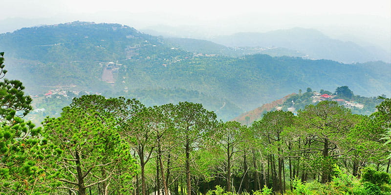 Kasauli