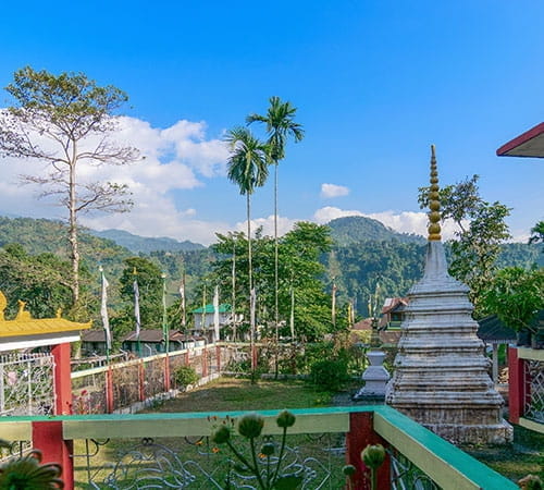 BEAUTIFUL DOOARS TOUR